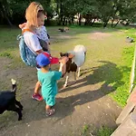 Alpesi faház Drevenica Emilka - Polomka, Nizke Tatry Breznóbánya