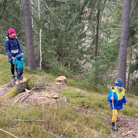 Drevenica Emilka - 30 Min To 5 Incl Jasna Alpesi faház *