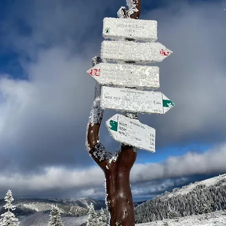 Drevenica Emilka - 30 Min To 5 Incl Jasna