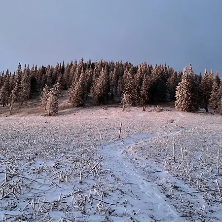 Drevenica Emilka - 30 Min To 5 Incl Jasna * Breznóbánya
