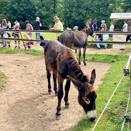 Drevenica Emilka - 30 Min To 5 Incl Jasna Breznóbánya