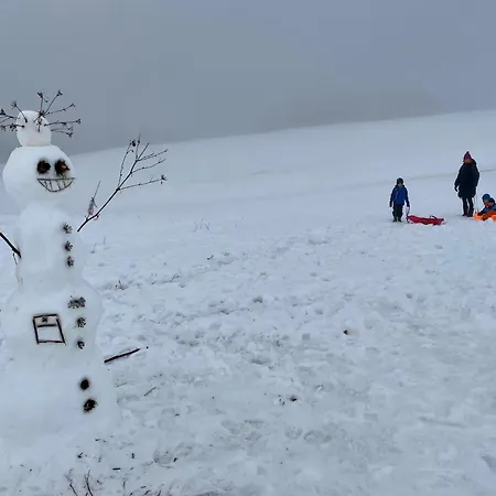 Drevenica Emilka - Polomka, Nizke Tatry Alpesi faház Breznóbánya
