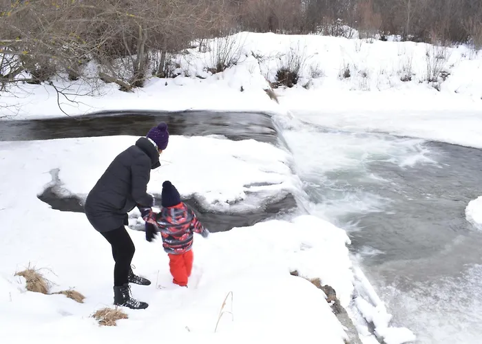 Drevenica Emilka - Polomka, Nizke Tatry Chalet Brezno
