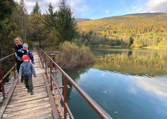 Drevenica Emilka - Polomka, Nizke Tatry Chalet *